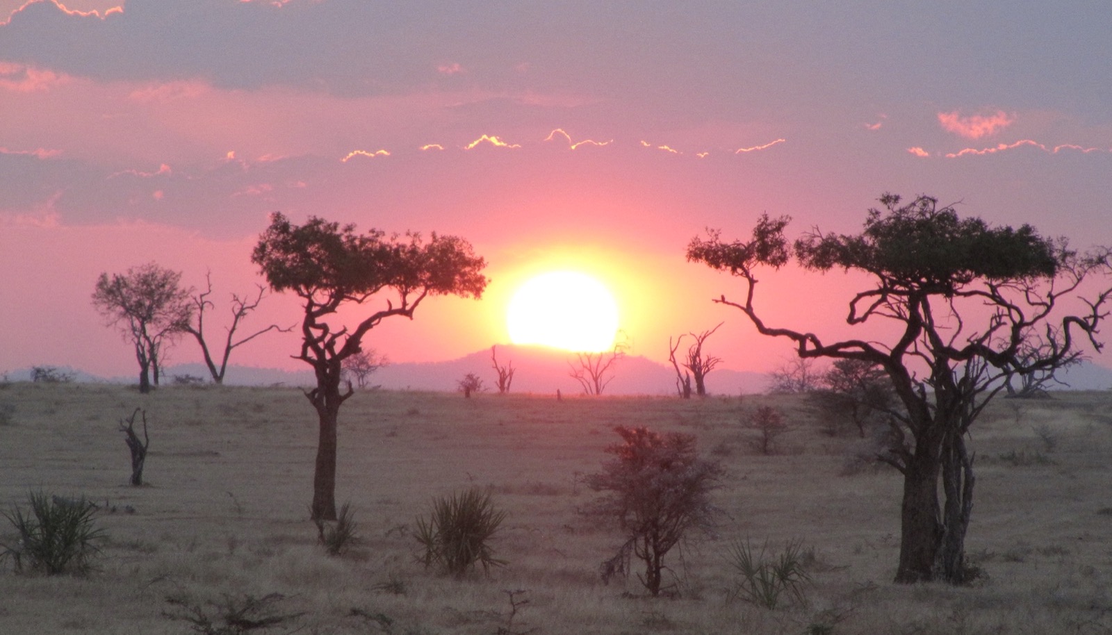 Safari landscape in Tanzania